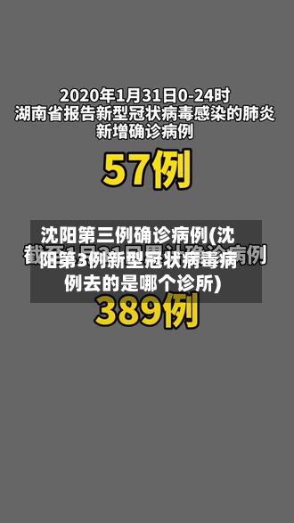 沈阳第三例确诊病例(沈阳第3例新型冠状病毒病例去的是哪个诊所)