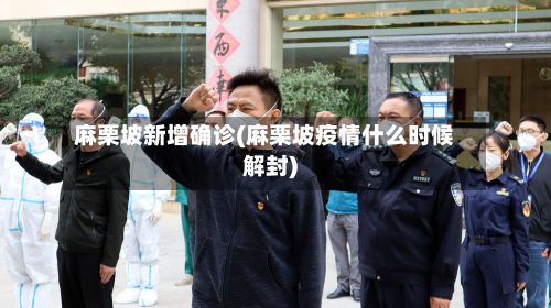 麻栗坡新增确诊(麻栗坡疫情什么时候解封)-第2张图片