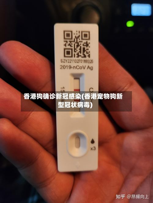 香港狗确诊新冠感染(香港宠物狗新型冠状病毒)