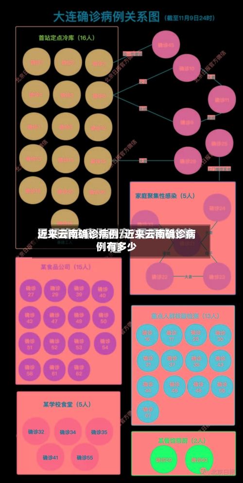 近来云南确诊病例/近来云南确诊病例有多少-第2张图片
