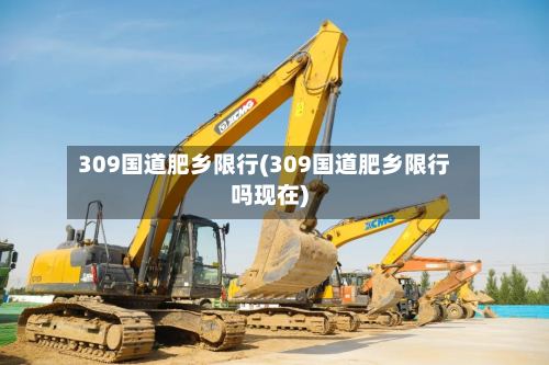 309国道肥乡限行(309国道肥乡限行吗现在)-第2张图片