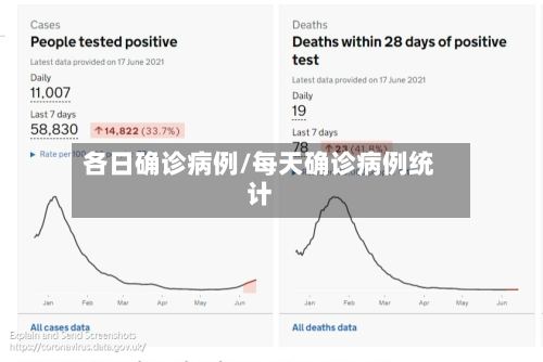各日确诊病例/每天确诊病例统计