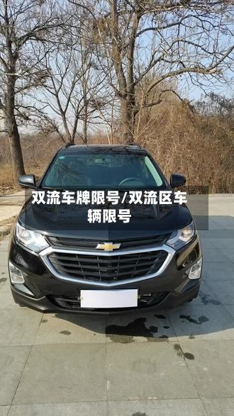 双流车牌限号/双流区车辆限号