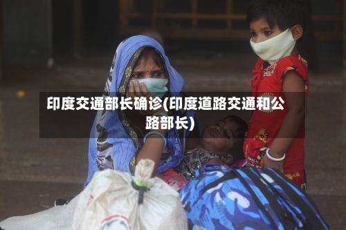 印度交通部长确诊(印度道路交通和公路部长)-第3张图片