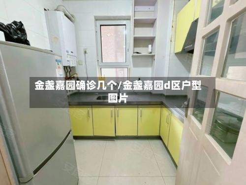 金盏嘉园确诊几个/金盏嘉园d区户型图片