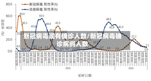 新冠病毒现有确诊人数/新冠病毒确诊病例人数