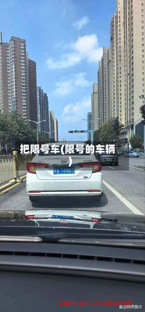 把限号车(限号的车辆)