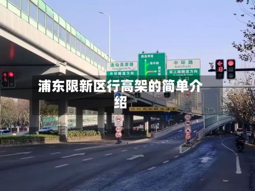 浦东限新区行高架的简单介绍