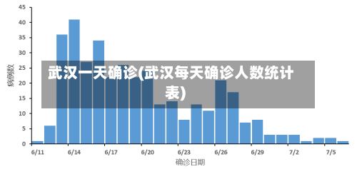 武汉一天确诊(武汉每天确诊人数统计表)-第2张图片