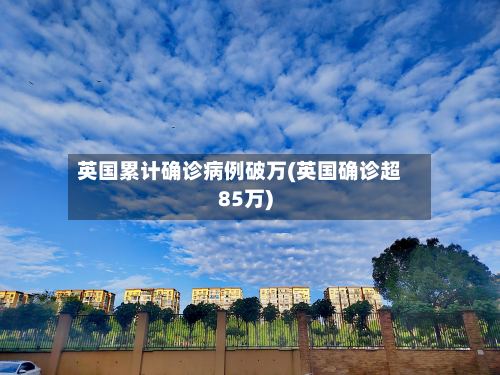 英国累计确诊病例破万(英国确诊超85万)