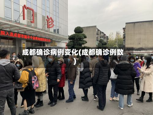 成都确诊病例变化(成都确诊例数)-第3张图片