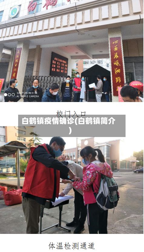 白鹤镇疫情确诊(白鹤镇简介)