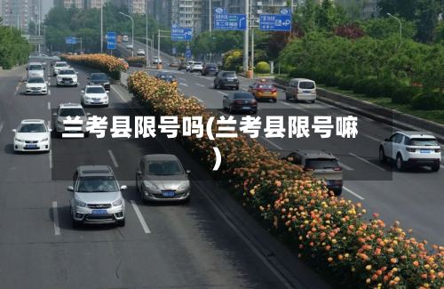 兰考县限号吗(兰考县限号嘛)-第2张图片