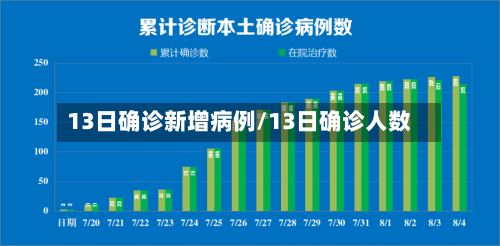 13日确诊新增病例/13日确诊人数
