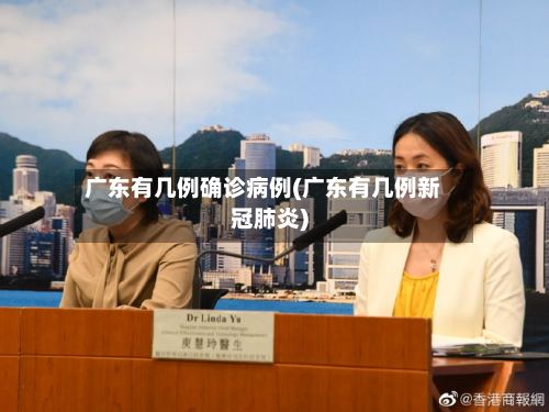 广东有几例确诊病例(广东有几例新冠肺炎)