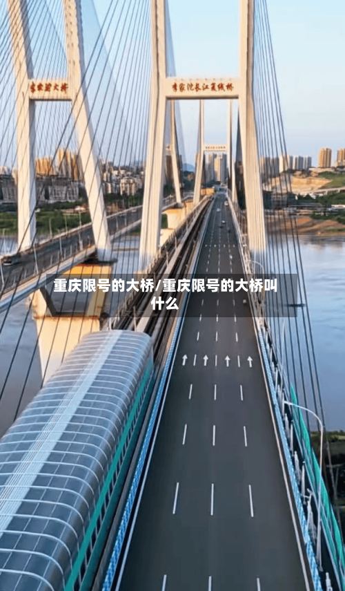 重庆限号的大桥/重庆限号的大桥叫什么-第2张图片