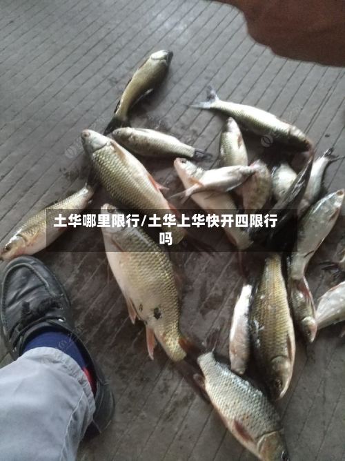 土华哪里限行/土华上华快开四限行吗-第2张图片