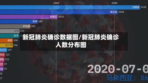 新冠肺炎确诊数据图/新冠肺炎确诊人数分布图