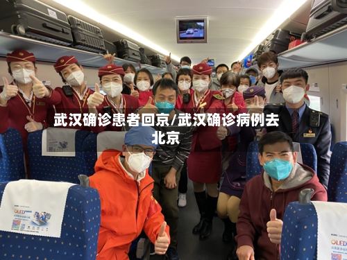 武汉确诊患者回京/武汉确诊病例去北京