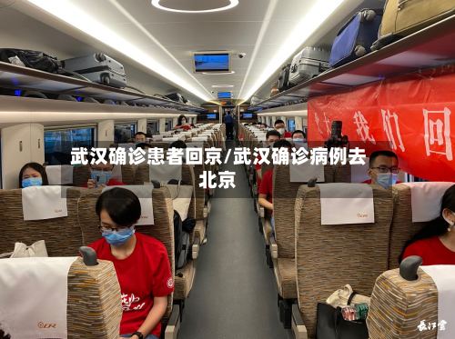 武汉确诊患者回京/武汉确诊病例去北京-第3张图片