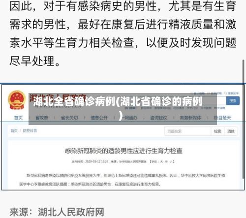 湖北全省确诊病例(湖北省确诊的病例)